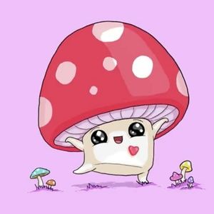 Meet your Posher, Alexander